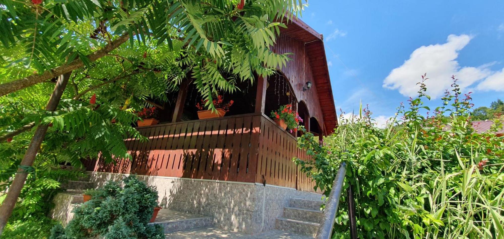 Pensiunea Apuseni Vidra  Exterior photo